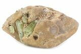 Lustrous Yellow-Green Apatite Crystals on Calcite - Morocco #376596-1